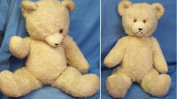 Bärenreparatur - Teddybär aus Synthetikfaser, Füllung erneuert, Augen neu, äußerliche Reinigung und Aufplüschen des Flores